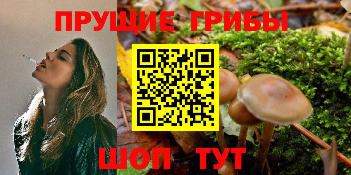 Галлюциногенные грибы мицелий  Вход с VPN  Галлюциногенные грибы Magic Shrooms  Евпатория 